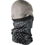 ZanHeadgear TF101 Motley Tube Fleece Lined Black Paisley - Image 2