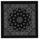 Hot Leathers BAP1001 Classic Black and White Paisley Bandana