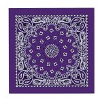 Hot Leathers BAP1002 Classic Purple Paisley Bandana