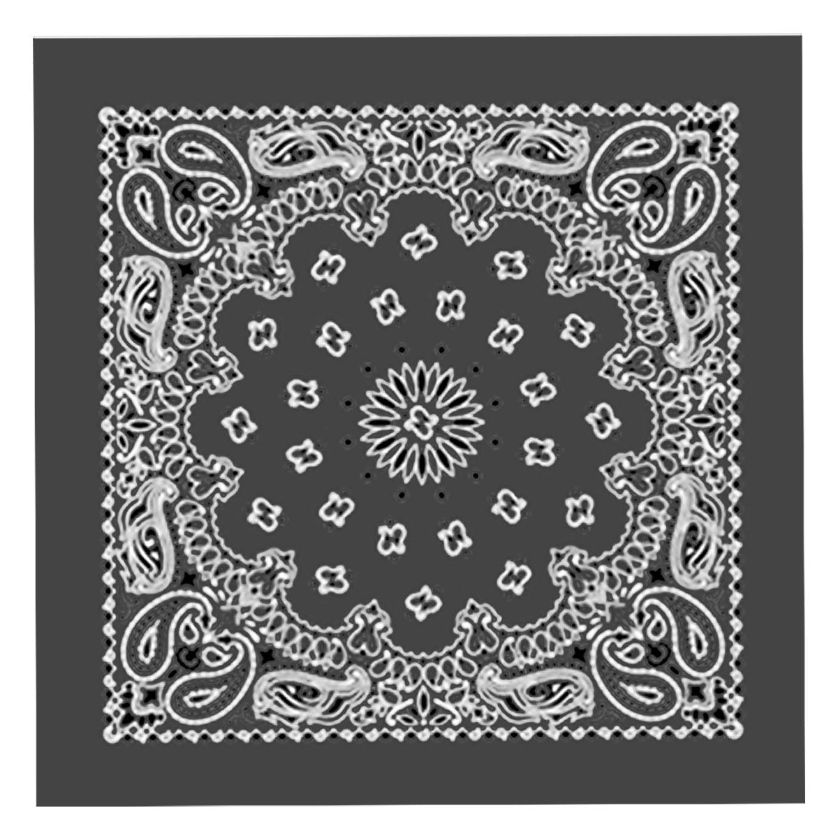 bap1006-a01.jpg Hot Leathers BAP1006 Classic Charcoal Paisley Bandana - Image 1
