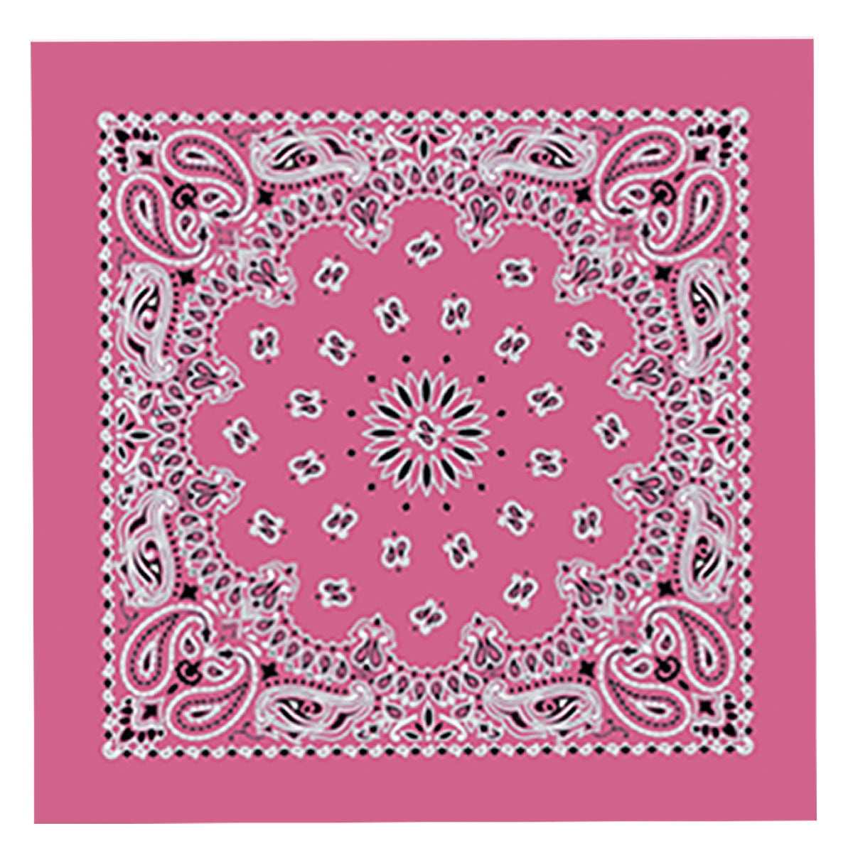 bap1007-a01.jpg Hot Leathers BAP1007 Classic Hot Pink Paisley Bandana - Image 1