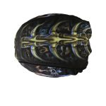 Hot Leathers HWH1019 Skull Cavern Headwrap - Image 5